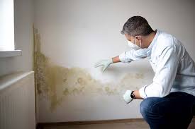 Best Asbestos and Lead Testing During Mold Inspection  in Glouster, OH